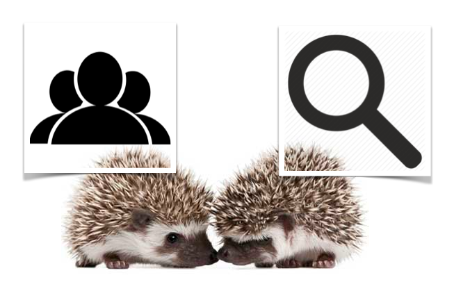 Two hedgehog marketing model